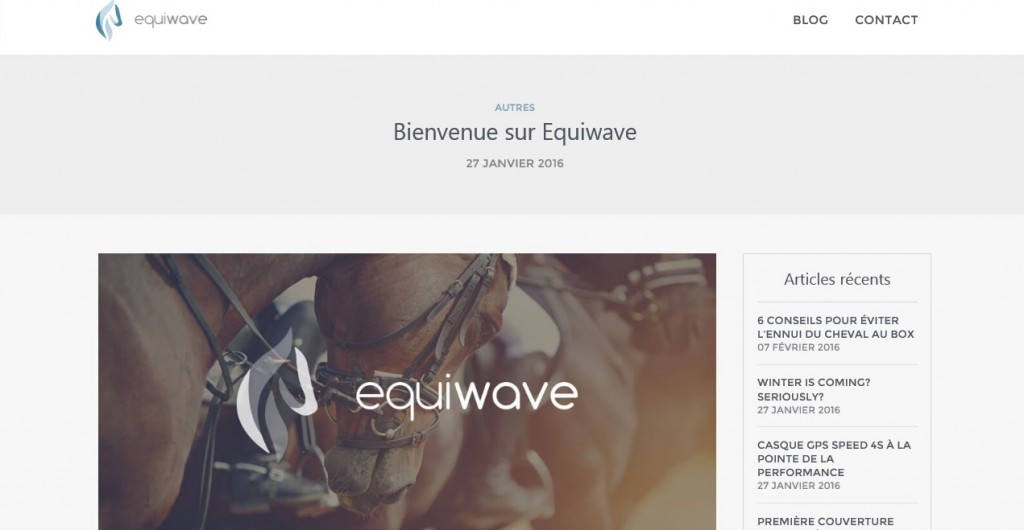Equiwave by The Horse Riders
