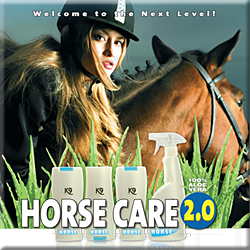 K9 Horse Care
