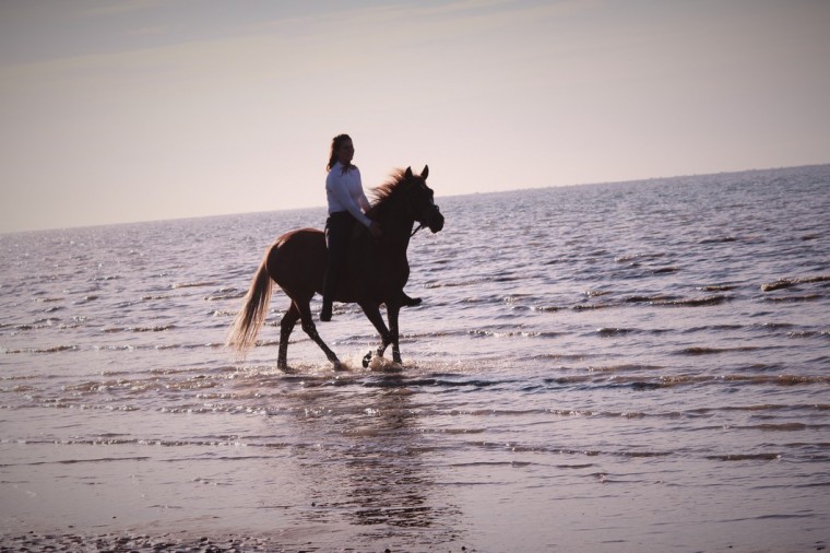 The Horse Riders : week-end à la plage