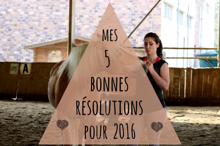 Résolutions 23016 by The Horse Riders