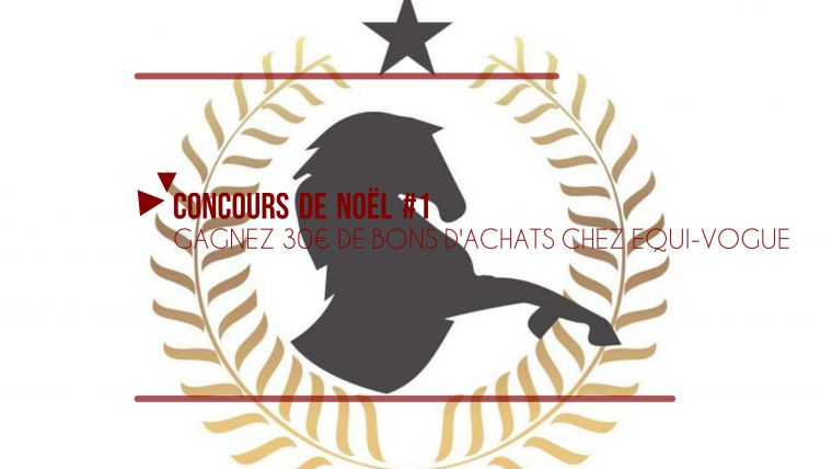 Concours Noël The Horse Riders