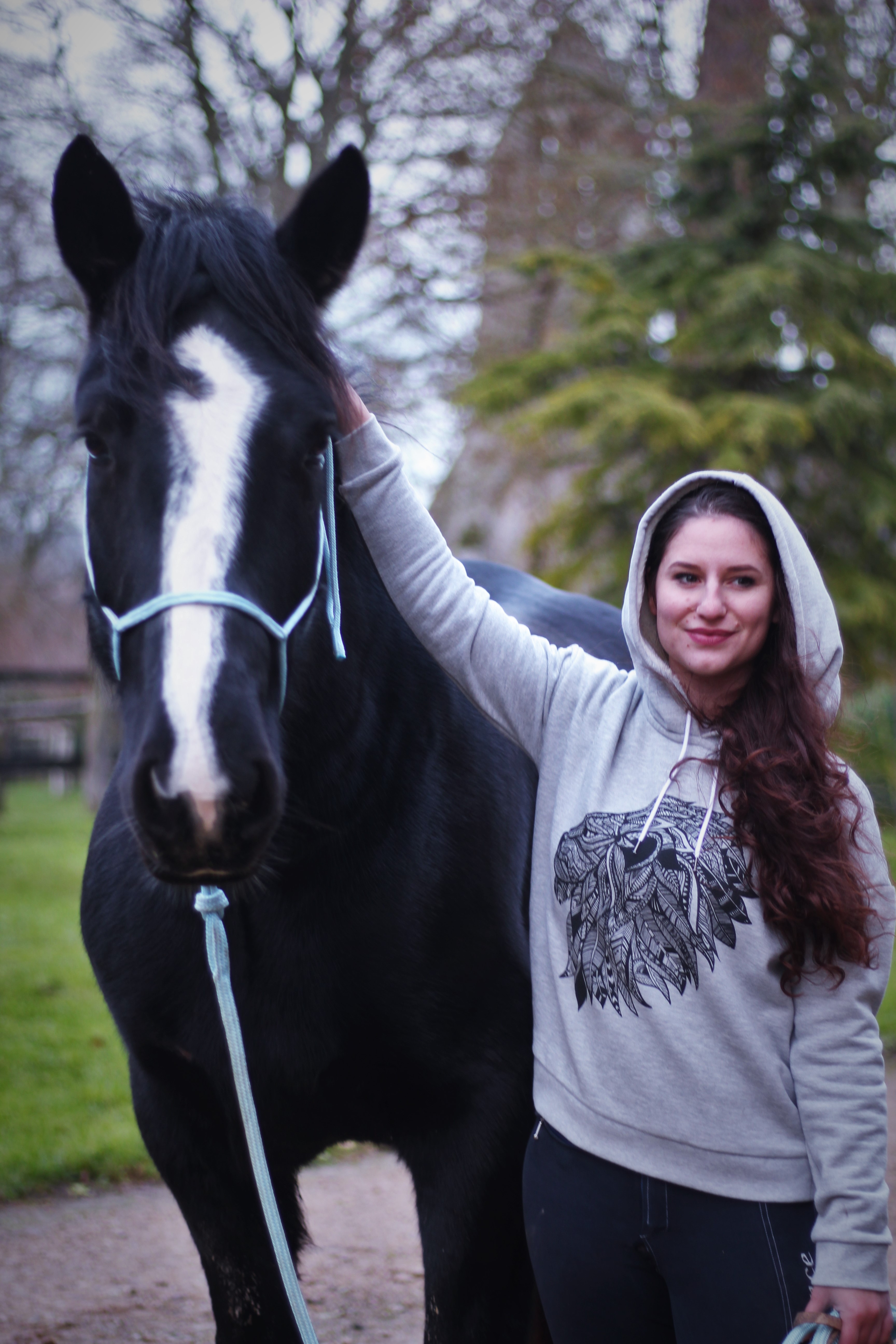 The Horse Riders : votre blog équestre