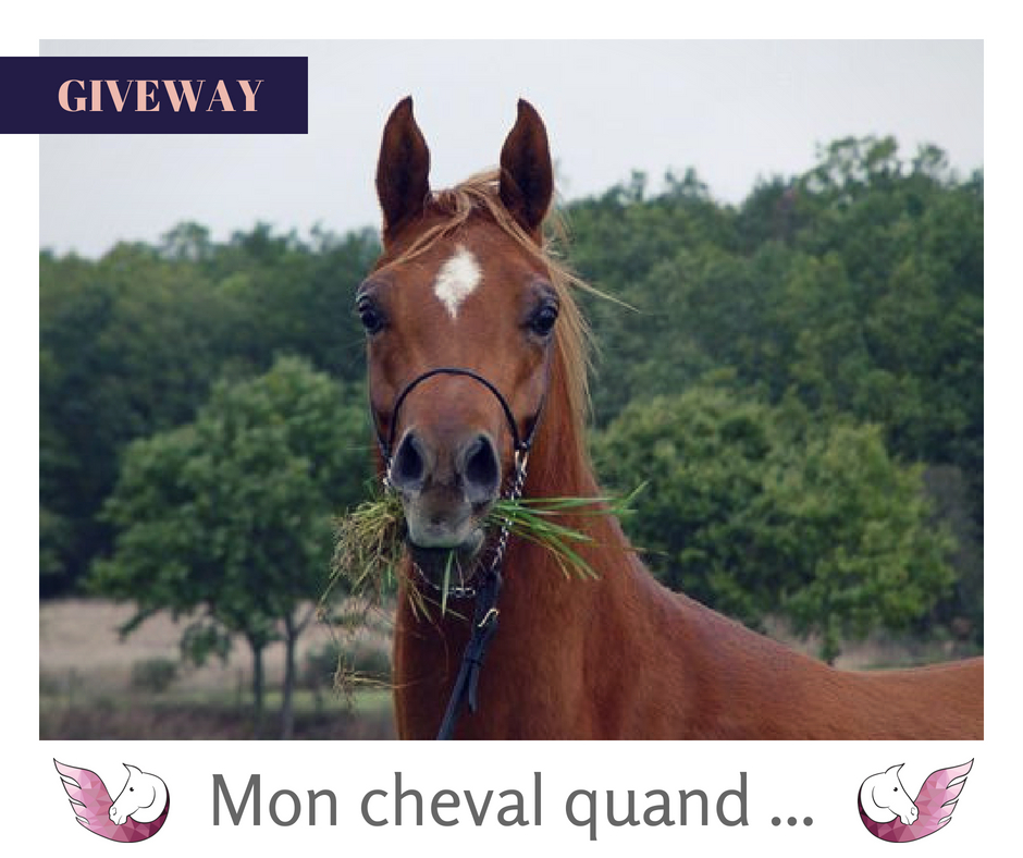 GIVEWAY THE HORSE RIDERS